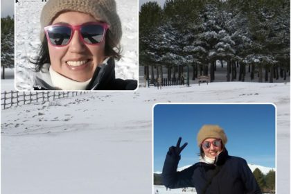 mosaico nieve